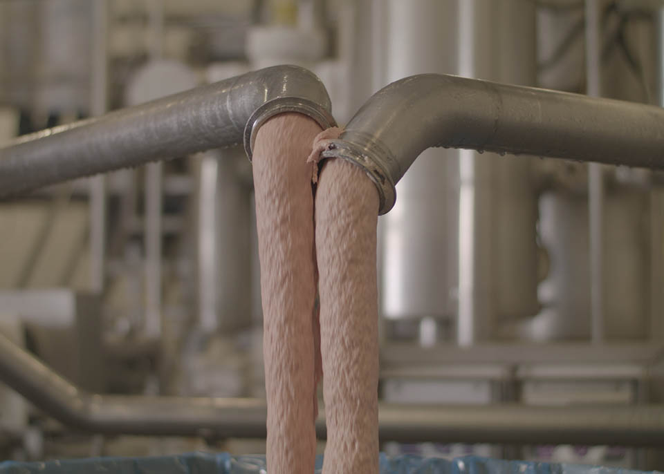 MECHANICALLY SEPARATED CHICKEN